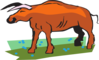 Bull In A Field Clip Art